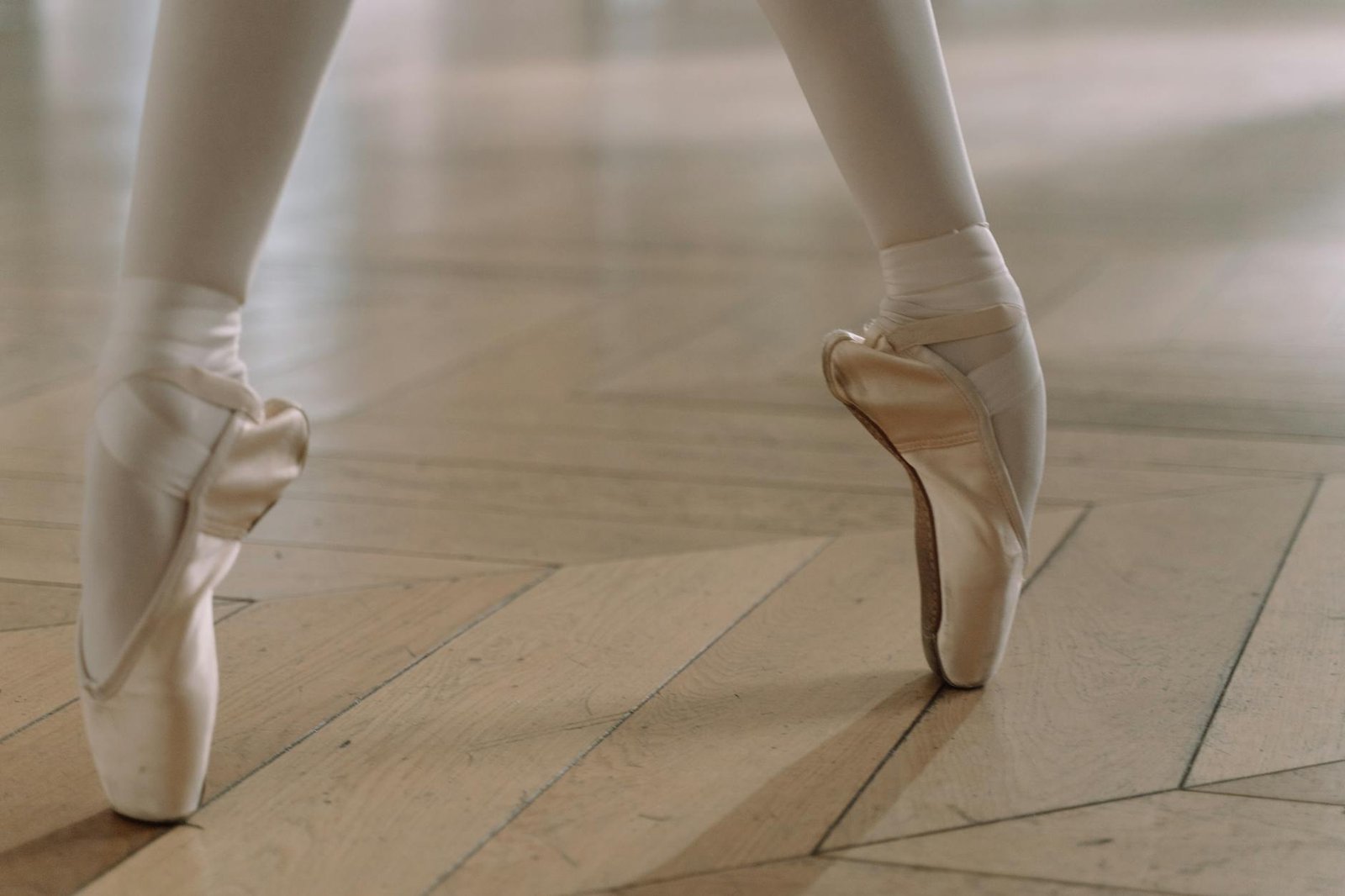 Grishko 2007 Professional Pointe Shoes