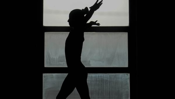 Best Dance Wall Decals: Vinyl Studio Silhouette Stickers Review