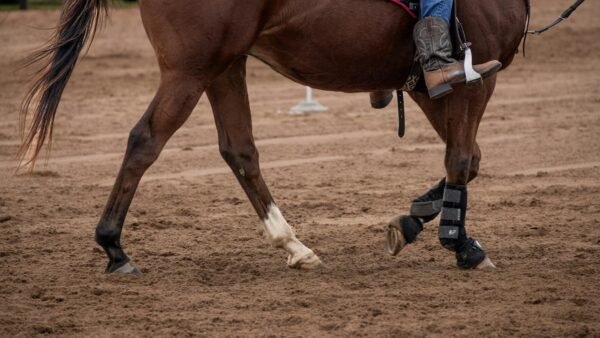 Best Knee Braces and Supports for Dancers 2026: Your Complete Guide to Dancing Pain-Free