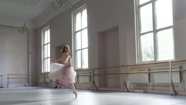 Best Premium Ballet Room Decor: Top Luxury Picks for Professional Studios