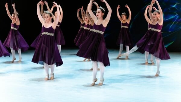 Best Premium Character Shoes for Dancers: Professional Picks