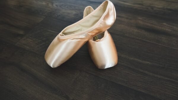 Comparing Dance Shoe Prices: Budget vs Premium — Is It Really Worth It?