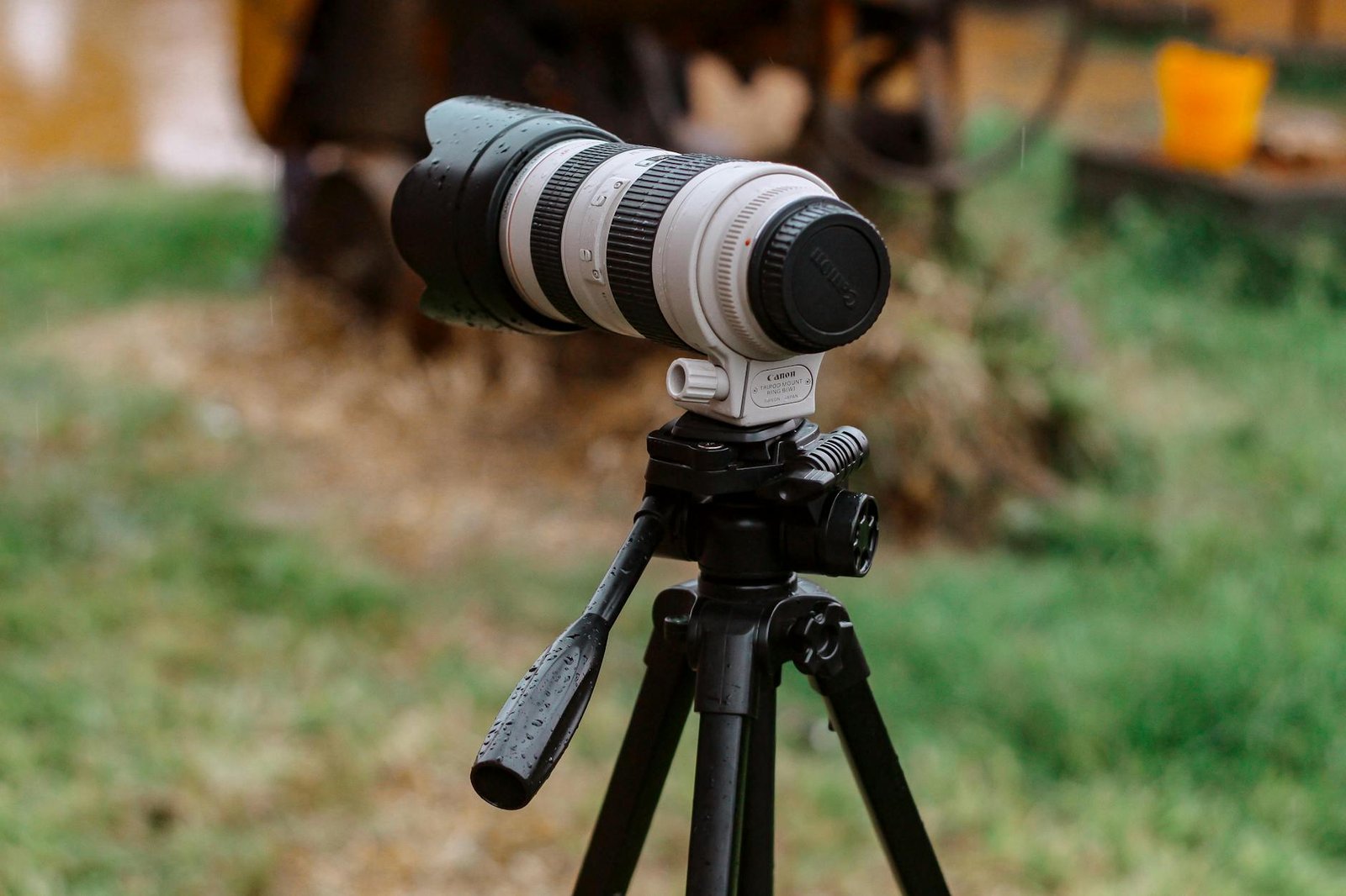 Close-up shot of a camera with zoom lens mounted on a tripod in a natural outdoor setting.