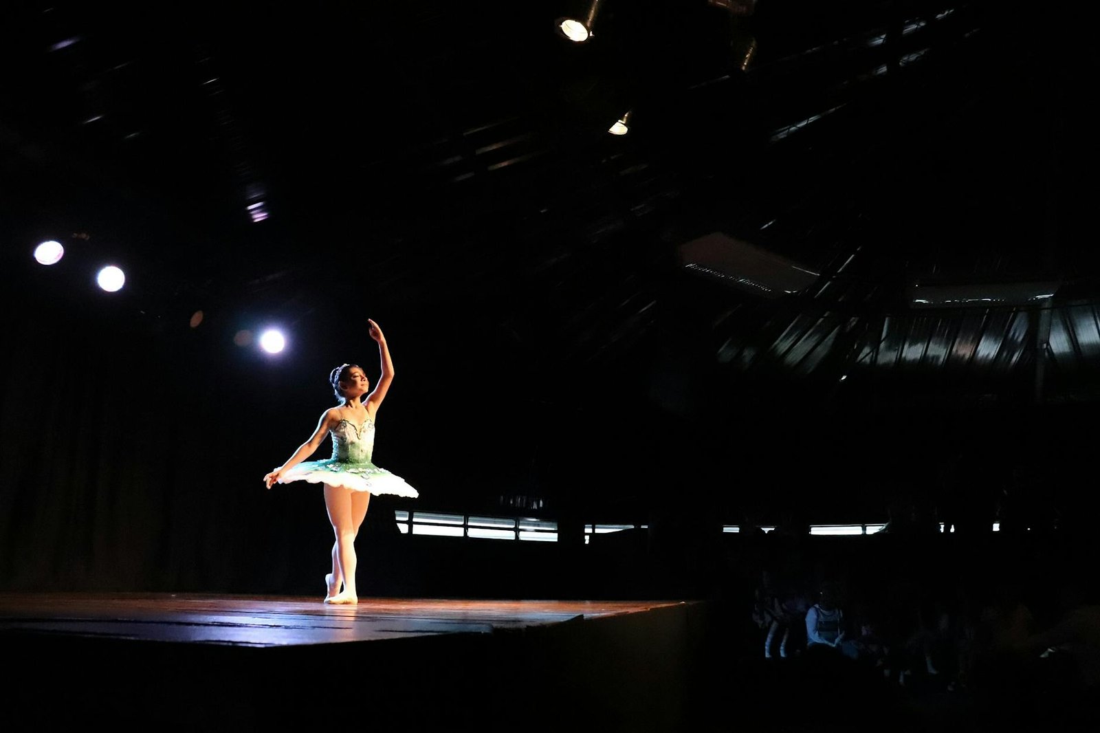 A graceful ballerina performing under spotlight in a theatre setting.