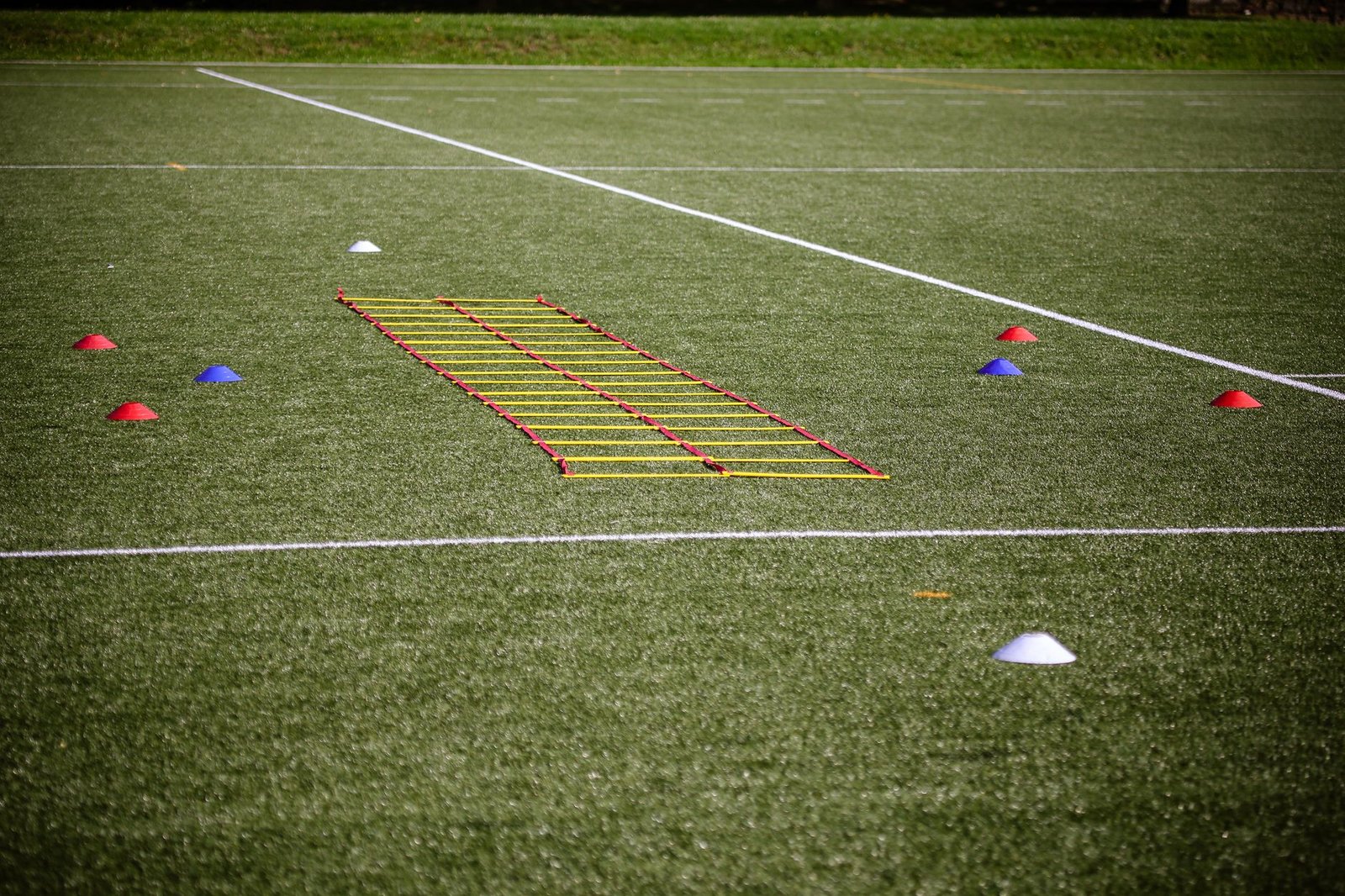 PROIRON Agility Ladder Flat Rung 12 Rungs 20 ft
