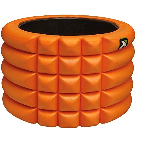 TriggerPoint Grid Mini Foam Roller 4-Inch
