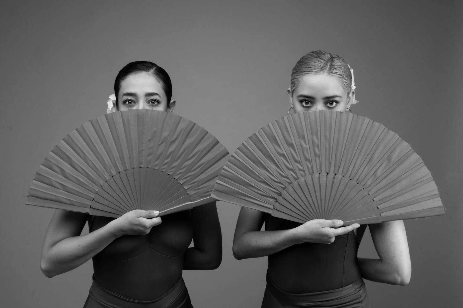 Spanish Dance Fan Abanico Flamenco Performance