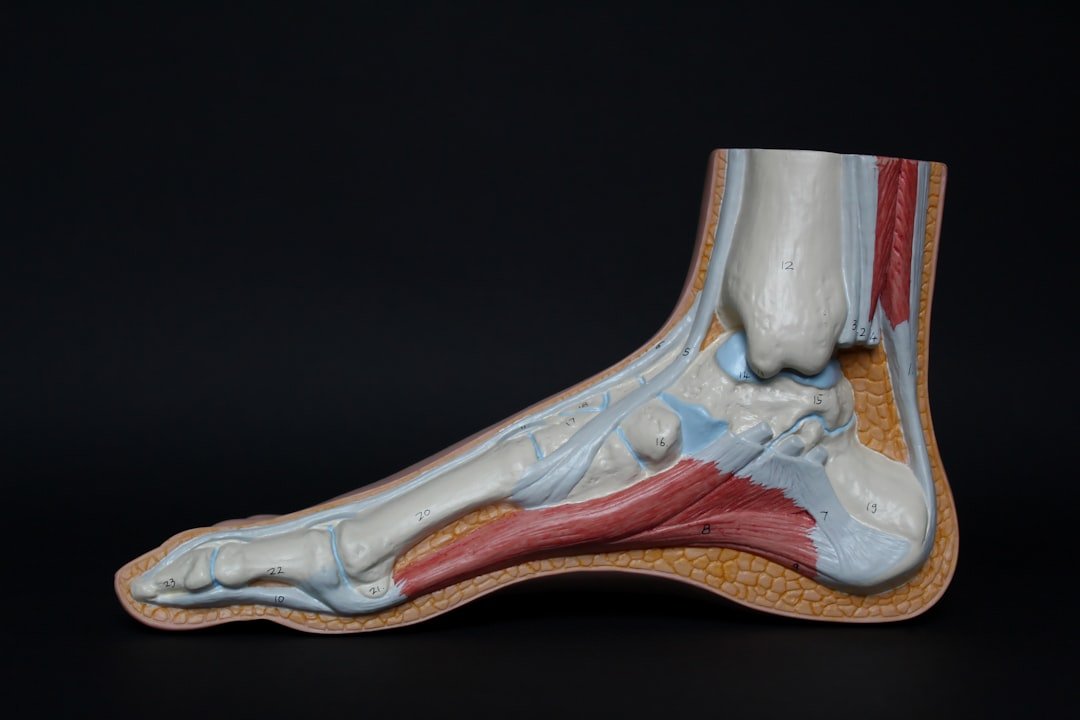 Plantar Fasciitis Foot Sleeve Arch Support Dance Recovery