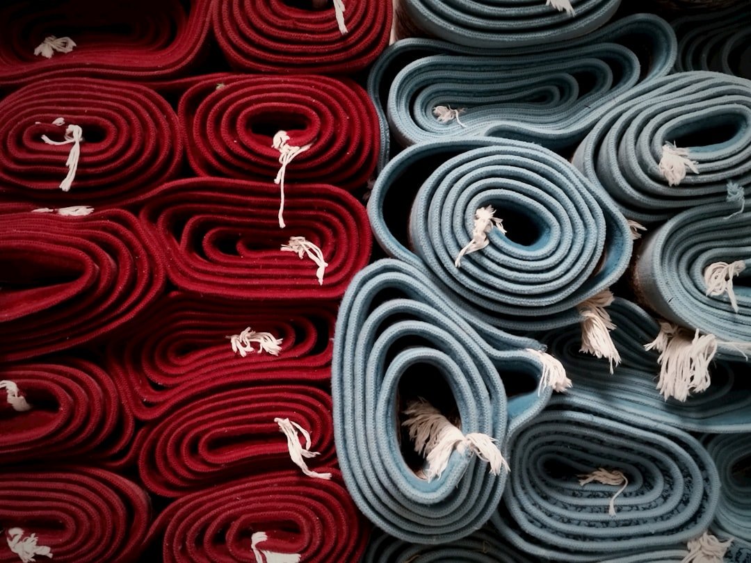 Roll Out Gymnastics Carpet Mat Home Tumbling Beginner