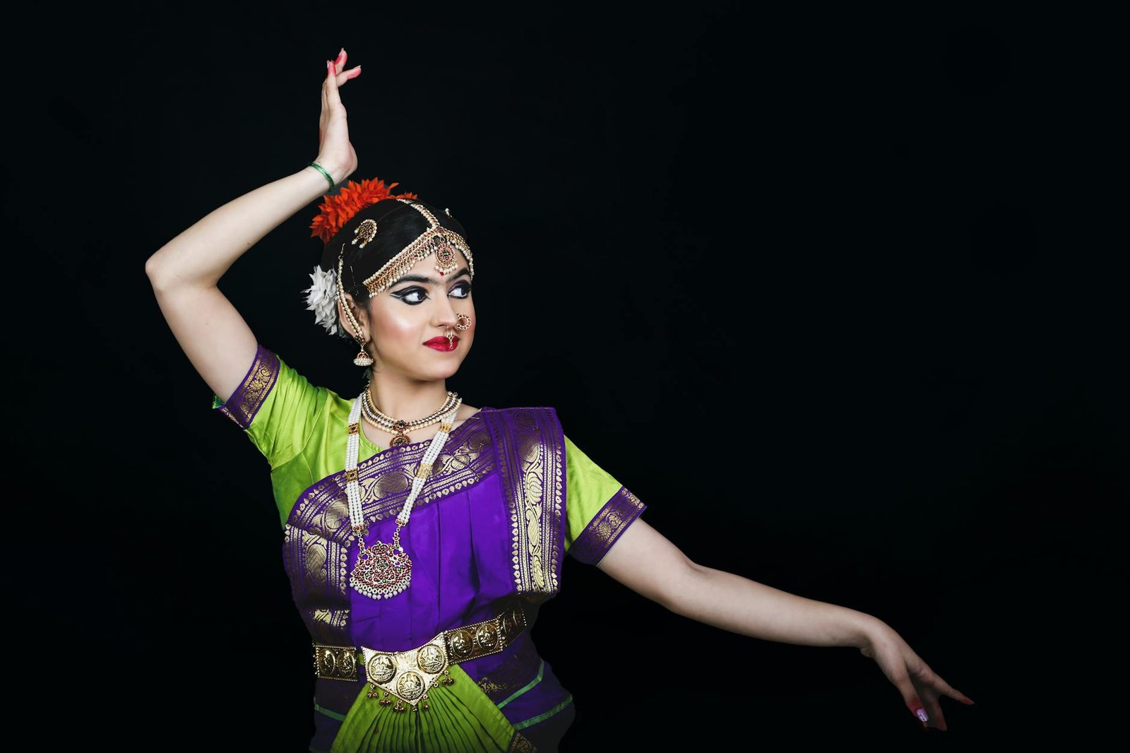 Bharatanatyam Costume Fan Pleats Saree Arangetram