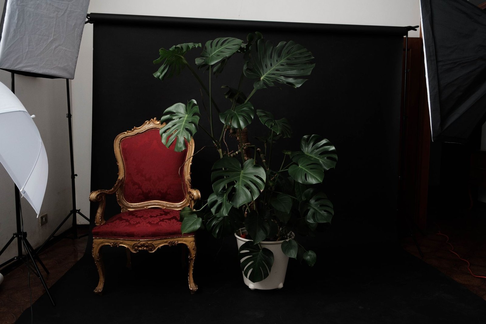 Budget Photography Backdrop Muslin Basic Neutral 5x7 Photography