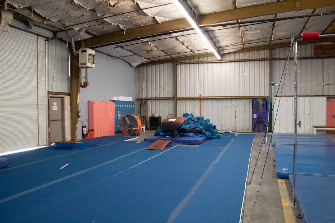 Folding Gymnastics Mat Panel 4x8 Gymnastics Home Acrobatics