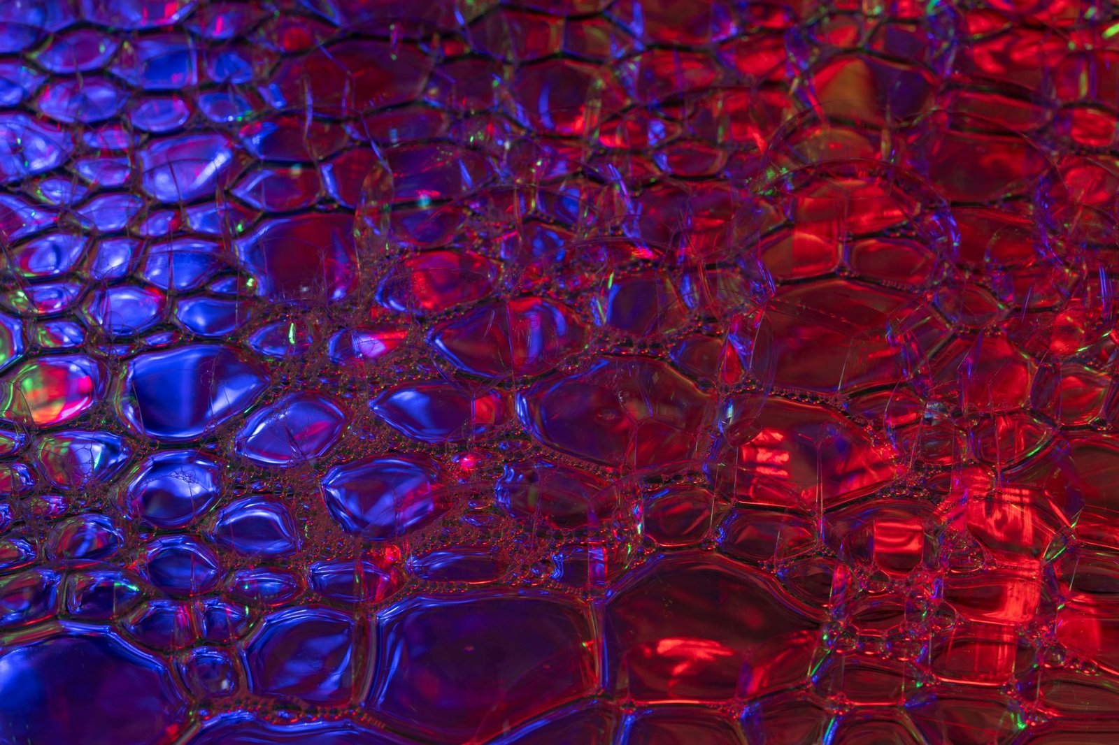 Holographic Shiny Bootie Shorts Dance Competition