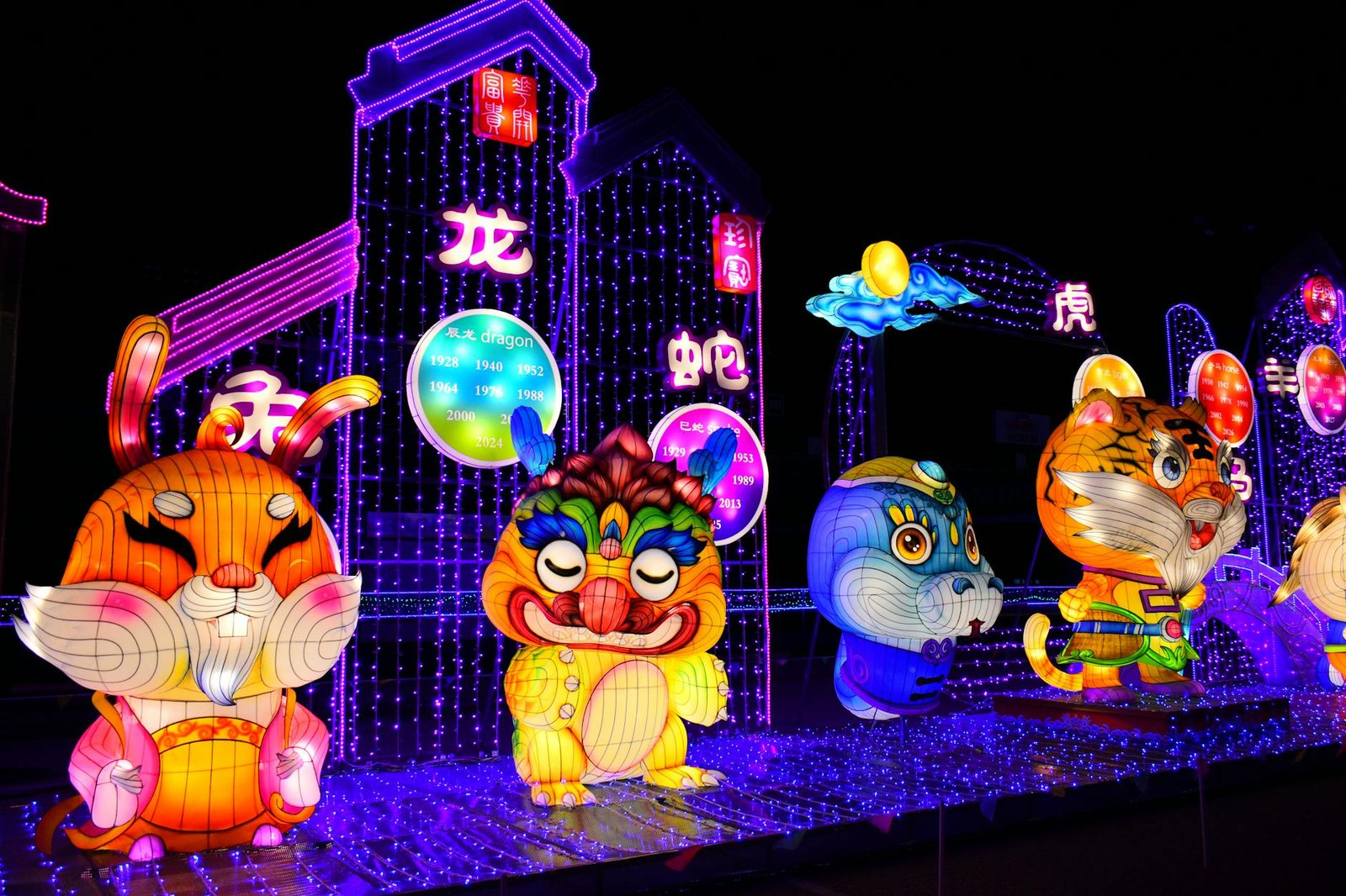 LED Light Up Chinese Fan Dance Performance Glowing