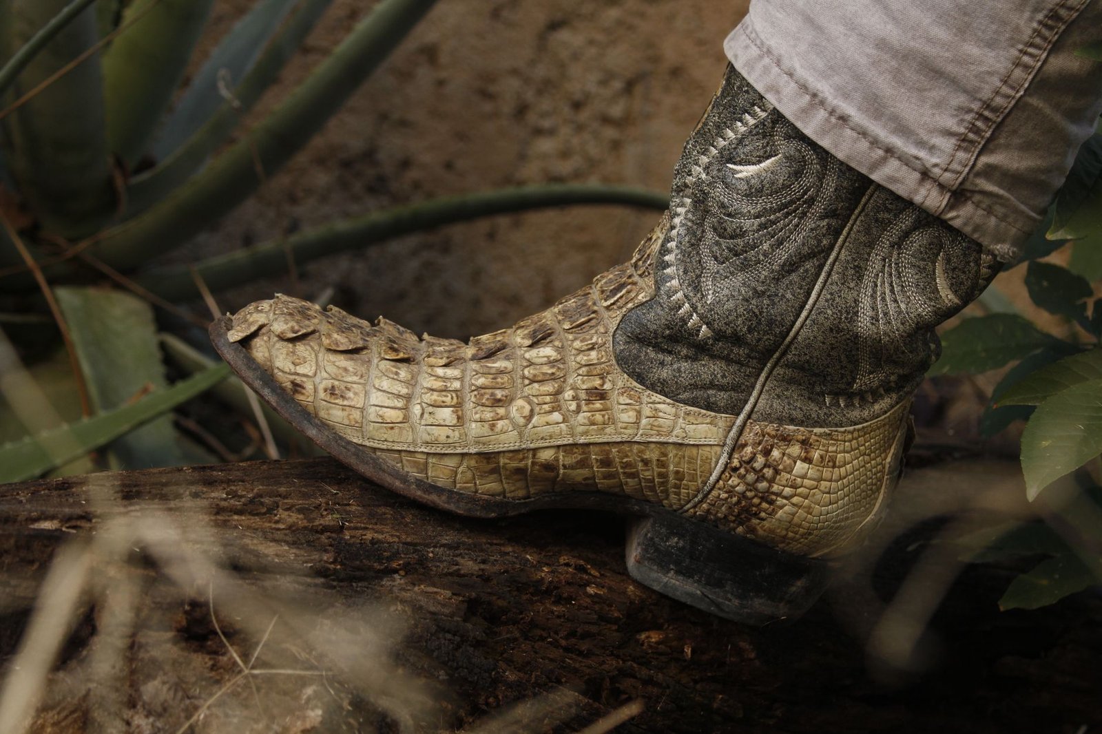 Western Dance Boot Exotic Skin Look Embroidered Shaft Country