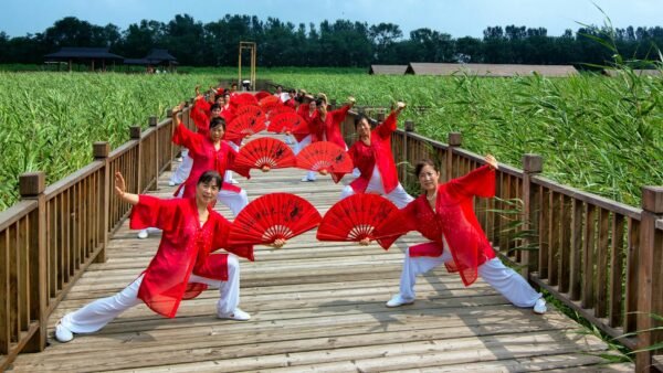 Best Chinese Fan Dance Fans for Performance and Cultural Dance: Top 7 Picks for 2026