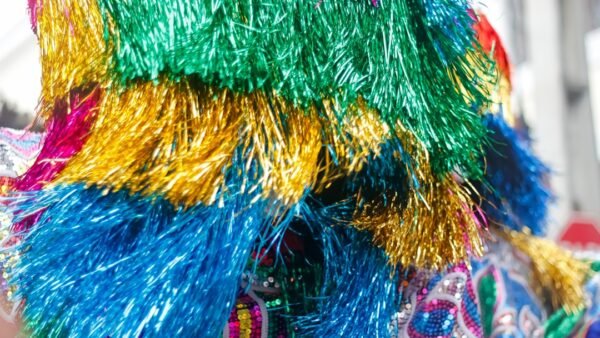 Best Samba and Brazilian Dance Costumes for Women: Top 7 Picks for 2026